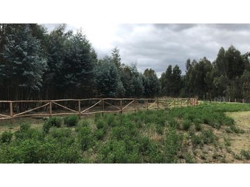 Lasso, Terreno en Venta, 5120m2, Cos PB 15%, 2 Pisos