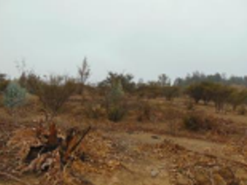 Parcela en Venta en Ruta F-50