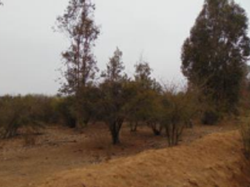 Parcela en Venta en RUTA F760