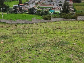 Venta Oportunidad 2 Terrenos independientes en Pifo 982 m2 c/u con cerramiento