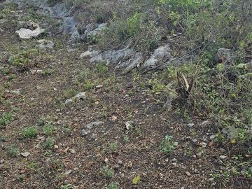 Venta de Lote, Chichimilá, Yucatan