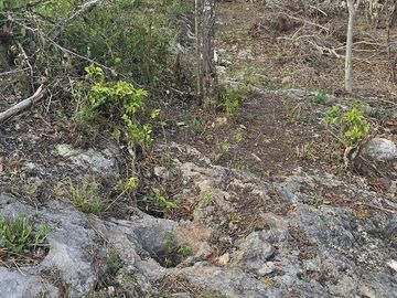 Venta de Lote, Chichimilá, Yucatan