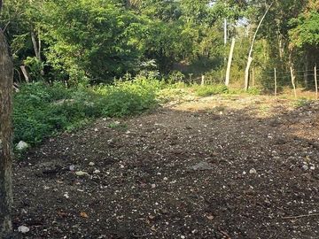Venta de Terreno, 17 has, Tahmuy, Valladolid, Yuc.