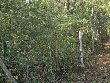 Venta de Terreno, 17 has, Tahmuy, Valladolid, Yuc.