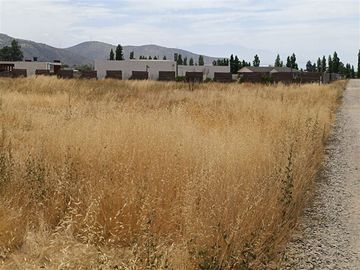 Sitio en Venta en Sector Esperanza, Padre hurtado