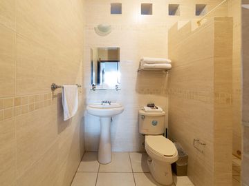 Emblemática Propiedad de Ajijic a la Venta
