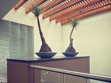 Casa en Venta en Rincón de Altozano, Morelia