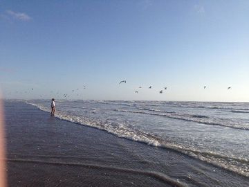 Vendo terreno con playa para inversión en Isla del Novillero, Tecuala, Nayarit.