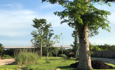 VENTA DE TERRENOS RESIDENCIALES EN FRACCIONAMIENTO, PROGRESO, MERIDA