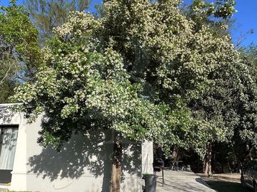 QUINTA EN LOS SABINOS