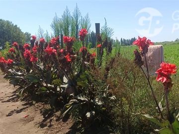 Casa en Venta en La Quinta Longavi,