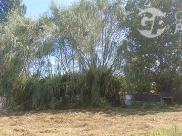 Casa en Venta en La Quinta Longavi,