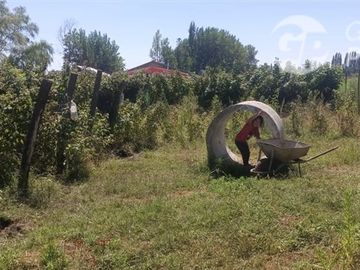 Casa en Venta en La Quinta Longavi,