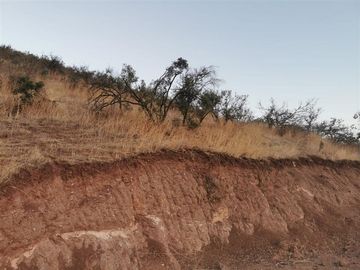 Sitio en Venta en Fundo La Estrella
