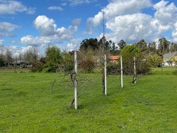 VENTA DE PARCELA CON CASA CAMINO A PINTO