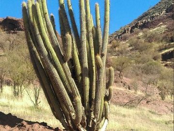 Parcela en Venta en Hacienda Rinconada de los Andes