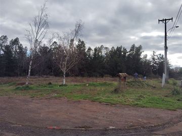 Sitio en Venta en Laguna Fundo el Carmen