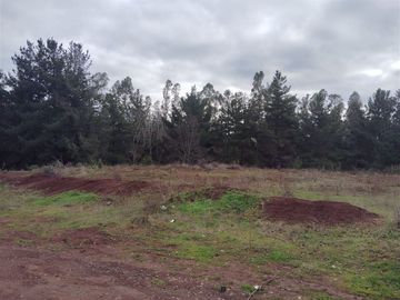 Sitio en Venta en Laguna Fundo el Carmen