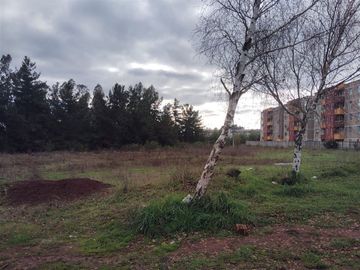 Sitio en Venta en Laguna Fundo el Carmen