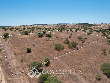 Sitio en Venta en Vista y Acceso a Lago Los Quillayes