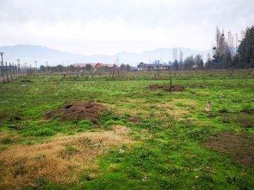 Venta Terreno Parcelación Doña Alfonsina Coinco