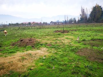 Venta Terreno Parcelación Doña Alfonsina Coinco