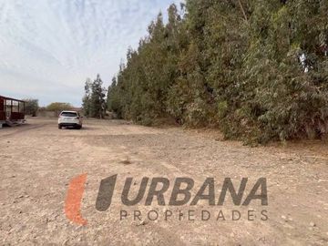 AMPLIA PARCELA SECTOR LAS ROJAS CON RUTA 41