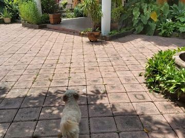 Casa Sola en Burgos Temixco - CRB-1155-Cs