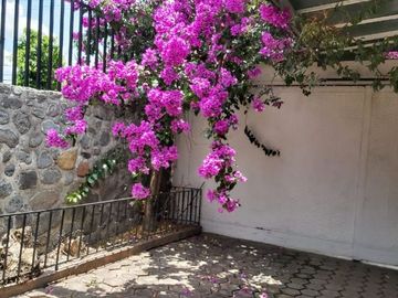 Casa Sola en Burgos Temixco - CRB-1155-Cs