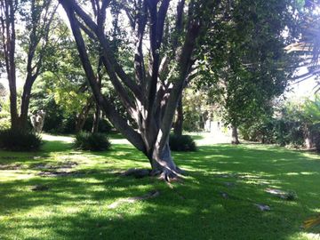 Casa en Condominio en Lomas de Jiutepec Jiutepec - CRB-1196-Cd#