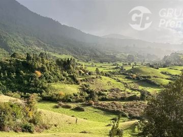 Parcela en Venta en LAGO RANCOI