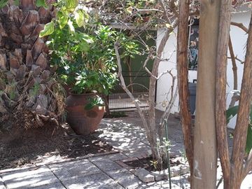 Casa en Venta en las condes