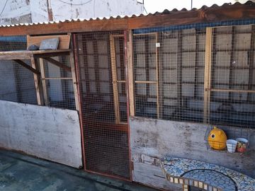 CASA LOTE PROPIO 5 AMBIENTES CON COCHERA Y TERRAZA