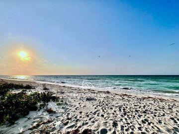 PH rooftop privado SISAL - Oferta villa frente al mar / Sale beachfront villa