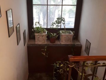 2 Propiedades unidas con Lotes de 12,07 x 24,05 y 9,02 x 24,06. Ideal Uso Comercial y Vivienda