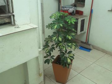 VENTA CASA 4 DORMITORIOS DONADO AL 800