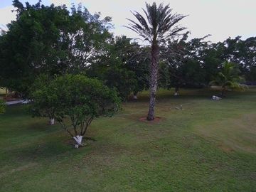 Quinta en Venta en Tixkokob Yucatan