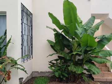 Casa en Fracc. Residencial Buenos Aires, Nogeras, Col