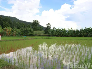 5 Bedroom House for sale in Ping Khong, Chiang Mai