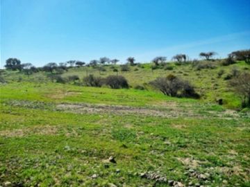 Parcela en Venta en Purapel