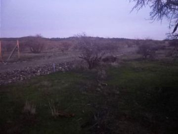 Parcela en Venta en Purapel