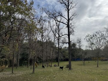 Quinta en Venta en Allende Nuevo León