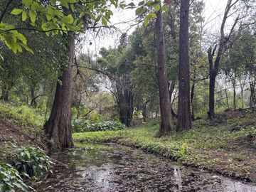 Quinta en Venta en Allende Nuevo León