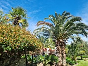 PARCELA PIRQUE EXCLUSIVO SECTOR SANTA RITA