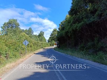 Parcela con Cabaña y Bosque nativo a solo 20 minutos del centro de Panguipulli
