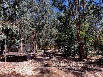 Hermosa Casa de Campo en La Foresta de Zapallar