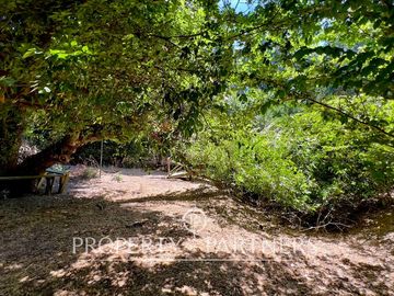 Hermosa Casa de Campo en La Foresta de Zapallar