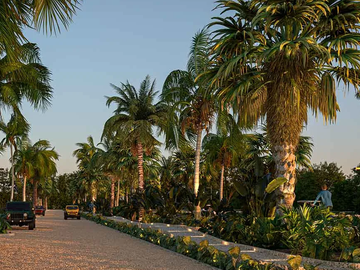 Aldea Sisal, Terreno en venta, Estado de Yucatán