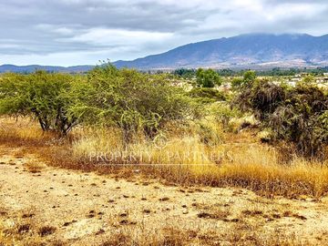 Hermosa parcela de 10.000 m/2 en Condominio La Foresta de Zapallar