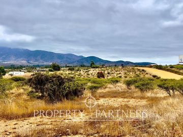 Hermosa parcela de 10.000 m/2 en Condominio La Foresta de Zapallar
